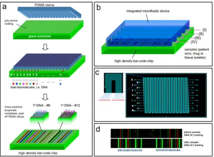 Figure 2.5.3  Microchannel-guided  flow  patterning  of  DEAL  barcode  arrays.  (a) Depiction of the procedure