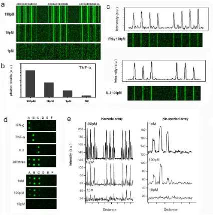 Figure 2.5.5  Increased sensitivity observed in immunoassays run on DEAL barcode concentration