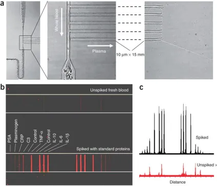 Figure 2.5.10 (a) Optical micrographs showing the effective separation of plasma from barcodes for both unspiked and spiked whole blood samples