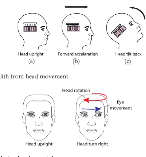 Fig. 9. Multisensory model [28].  