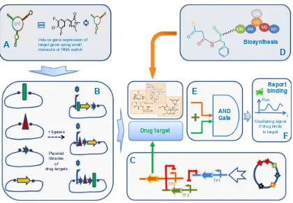 Figure 5 Conceptual SB pipeline for drug screening in synthetic cell.Notes: (A) A system to induce gene expression of protein target based on small molecule inducer and/or RNA-based switch for gene expression
