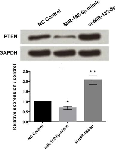 Figure 4. Over-expression of miR-182-5p alleviated hypoxia-induced prolifera-tion inhibition, reduced cell apoptosis, and promoted cell migration