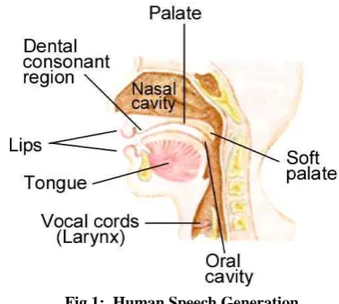 Fig 1:  Human Speech Generation 
