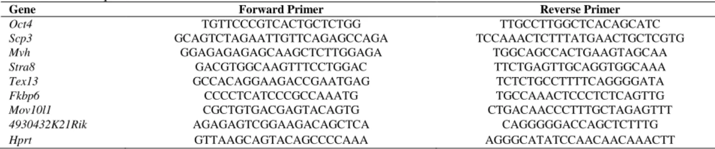 Table I. Primer sequences for real-time RT-PCR 