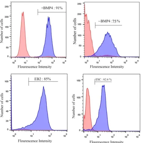 Figure  6.  Flowcytometric  analyses  in  study  groups.  Flowcytometric  analyses  show  the  expression  of  Mvh  protein  in  the  ESC  (82.6±1.6),  +BMP4  (91.3±3.5),  -BMP4  (75±1.4)  and  EB2  (85±5.2)  cells
