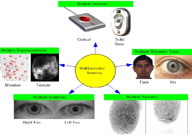 Fig 1: Various sources of information that can be fused in a multibiometric system. [3]  