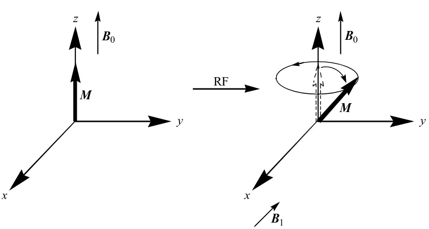 Figure 1.2:  Schematic depicting the behavior of the net magnetization vector, M, upon 