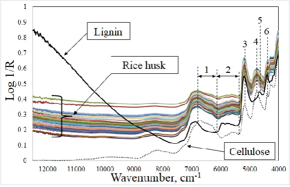 Fig. 1. Rice husk spectra compared to lignin and cellulose.  