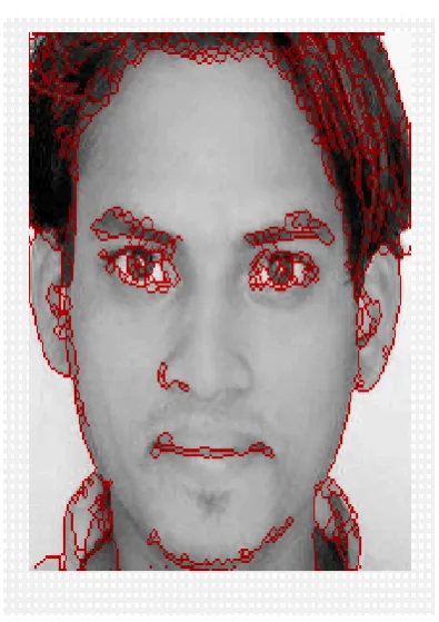 Fig 1: Template extraction of the highlighted features of the image. 