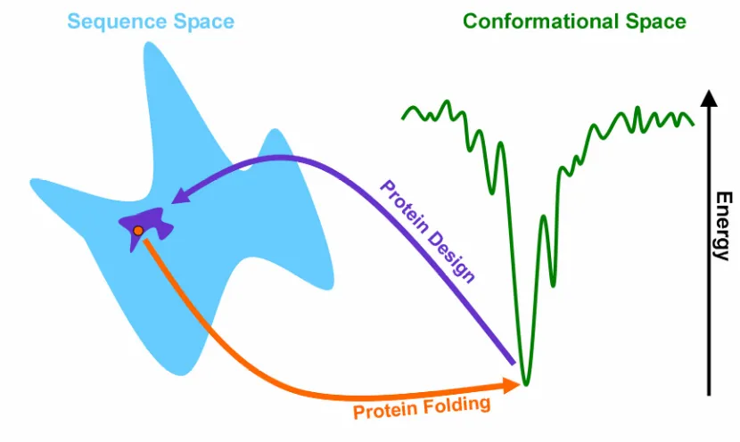 Fig. 1-1:  Inverse Protein Folding  