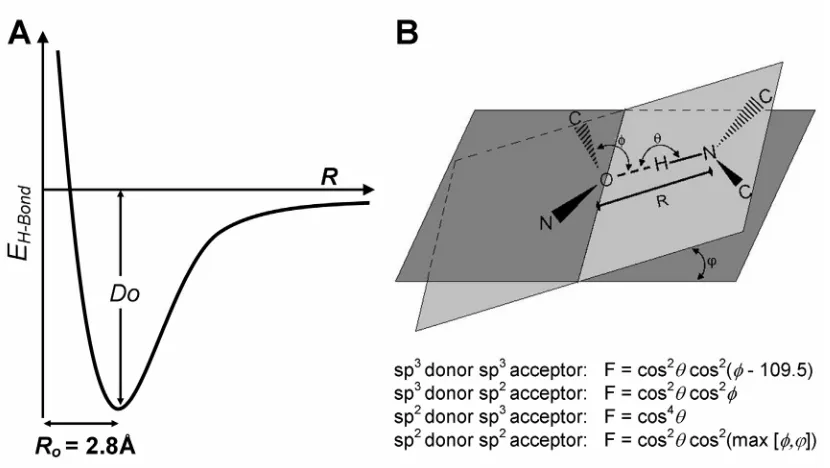 Fig. 1-3: Hydrogen Bond Potential  