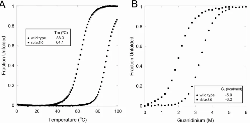 Fig. 2-4: Denaturation Curves of the Wild Type and a Mutant Obtained With the Standard Parameters   
