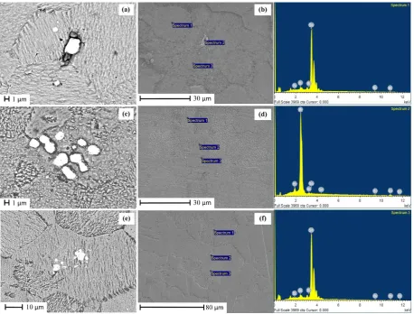 Fig. 5. SEM images and EDS points analyzed images of as cast (a, b), 0.25 strain (c, d) and 0.5 strain (e, f) Sn-4%wt.Bi alloy samples