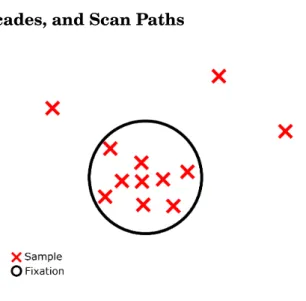 Figure 2.1: Eye tracking samples grouped into a fixation.