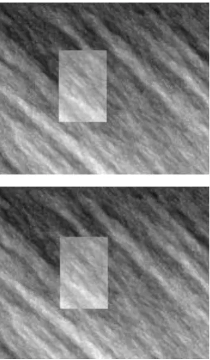 Fig 1: Frames 1(left) and 2 (right) of the "Synthetic" sequence. 