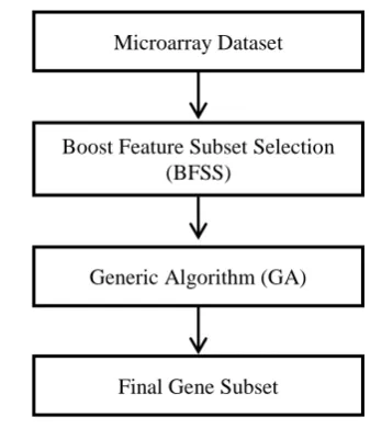 Fig 1: BFSSGA Flowchart 