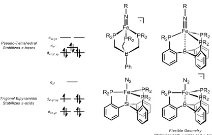 Figure 1.3. Qualitative d-orbital splitting diagrams and examples of complexes that 