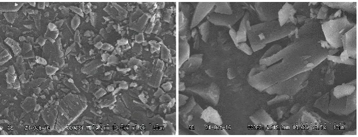 Fig. 1. SEM image of raw material –carotene.  