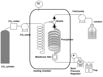 Fig. 2. Experimental apparatus.  