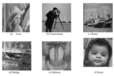 Fig.2. Input images taken for the study 