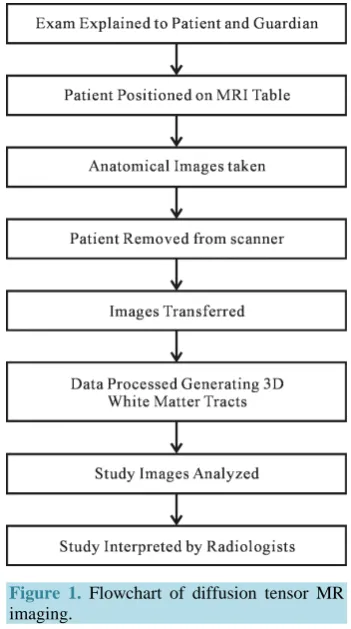 Figure 1. Flowchart of diffusion tensor MR imaging. 