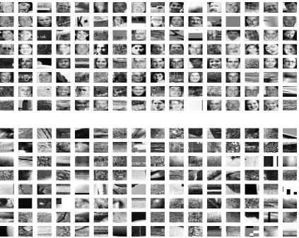 Figure 4.1: A subset of the training data, face examples (top) are contaminated withwrongly labeled non-faces, non-face examples (bottom) are random patches cut fromimages not containing the target.
