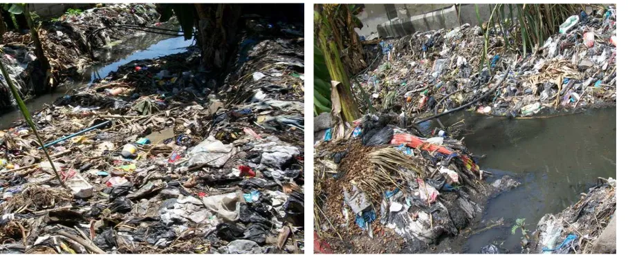 Figure 2. Illegal dumping of solid wastes in the vicinity of a seasonal stream.                                        