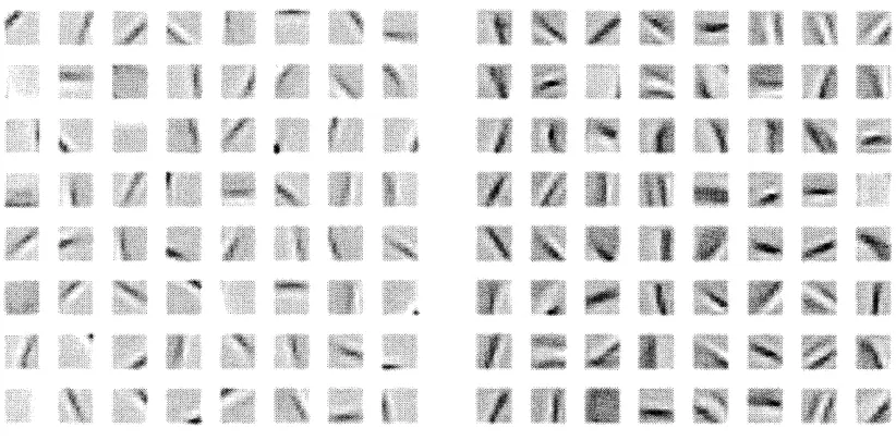 Figure 2.22: Left: of 250 randomly selected images from the which were automatically centered in their pixel blocks during training to avoid translational as in Figure 2.21, grey represents zero pixel amplitude