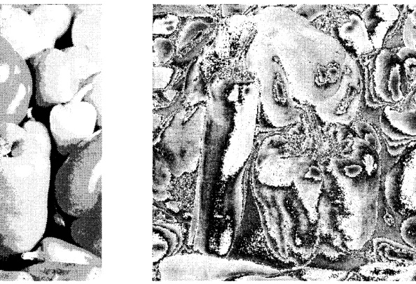 Figure 3.7: subtracting the original signal signal-dependent quantization noise in Figure Left: Result of passing luminance amplitudes of each scan line of the image 3.4 through a five level uniform quantizer, illustrating the distorting effects of E