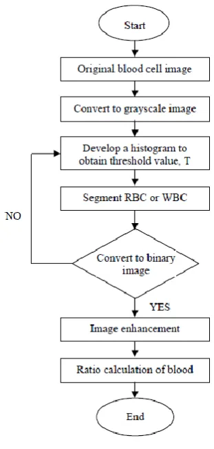 Figure 3-3: Flow chart of image processing 