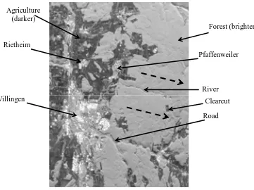 Figure 3.2: L-band image of the Black Forest in Germany obtained by NASA/JPL AIRSAR system in the summer of 1991