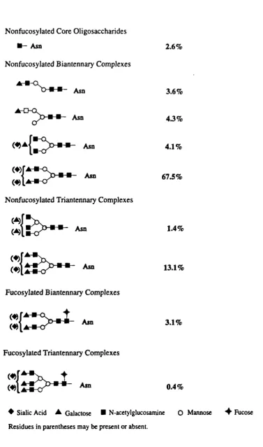 Figure 1.5- Contd. b) Asn iØO linked oligosaccharide structures.