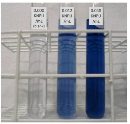 Figure 1. Qualitative visualization of the hydrolysis by the blue color intensity in the solution