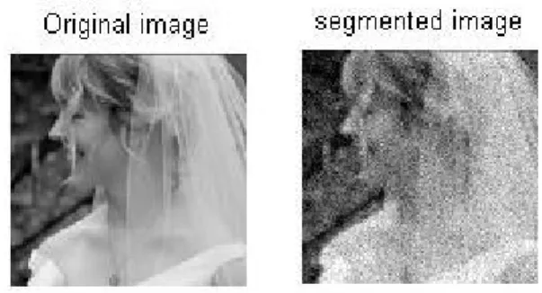 Figure  2.An 80  ×  120 intensity  image    and  its segmentation.  Parameter  setting: σ =0.14
