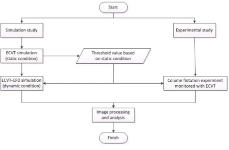 Fig. 1. Flow chart of the study.  