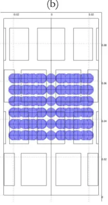 Fig. 4. The object of simulation - a bubble swarm model. (a) top-view. (b) side-view.  