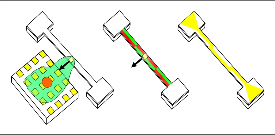 Figure 2. At left an adherent cell is spread adjacent to a force sensing beam, a lamellipodium from the cell attaches to fibronectin coated pad on the beam (in yellow) and contracts, deflecting the beam toward the cell (black arrow)