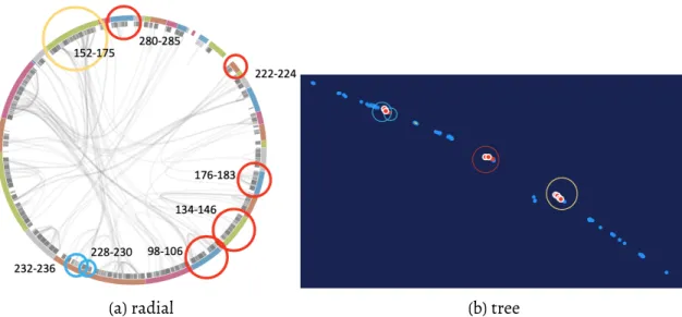 Figure 4.5: The visualization of embedded tree graph in correspondence with the radial layout