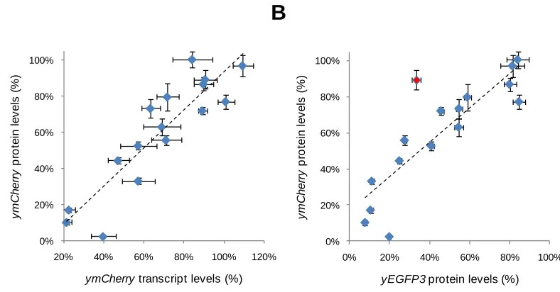 Figure 2.4. Demonstration of functional modularity of the hairpin library in the context of a different genetic construct