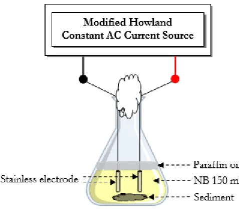 Fig. 1. Schematic diagram of experimental set up of AC electric current selection in flask