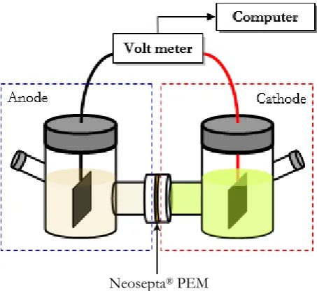 Fig. 2. Schematic diagram of experimental set up of dual chamber MFC.  2.4.