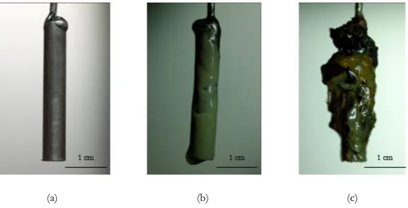 Fig. 3. Biofilm formation on electrode for bacteria selection using AC current (a) before supplied current (b) 6 mA and (c) 12 mA after 30 days