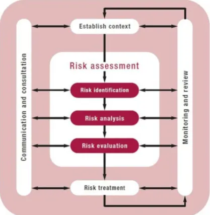 Fig. 1. Risk management process.  