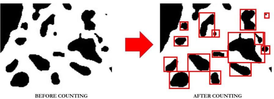 Fig. 6. Length, width and sieve size of an aggregate [30].  