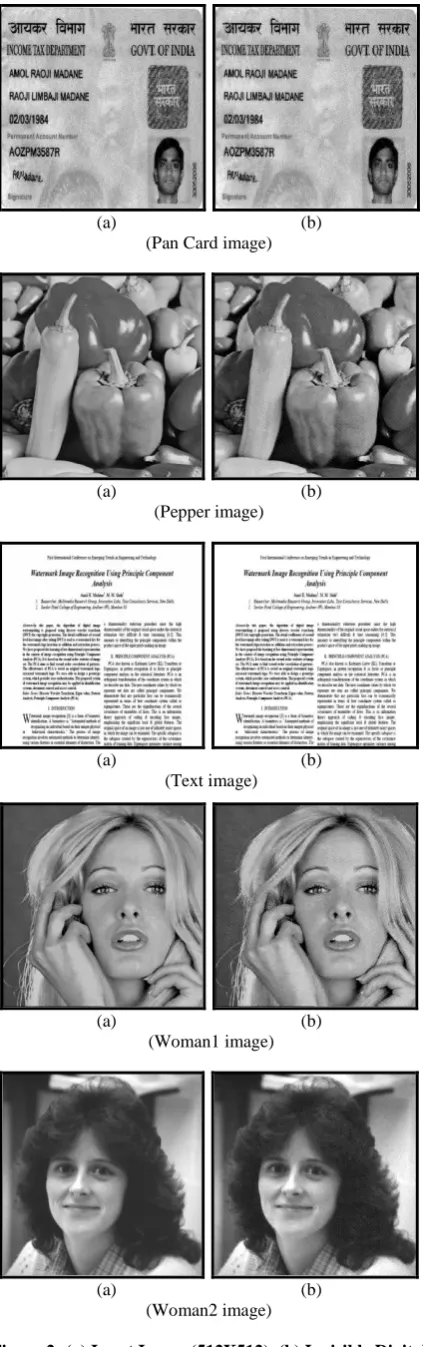 Figure 2: (a) Input Image (512X512), (b) Invisible Digital Watermark Image (512X512) 