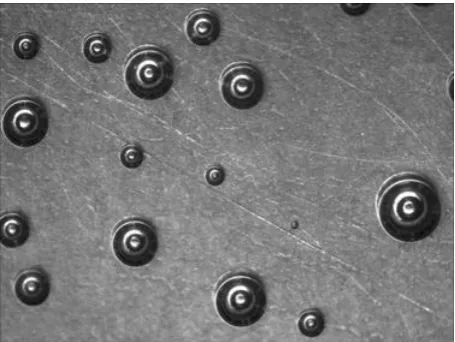 Fig. 1. Snapshot from the test task on analysis of evolution of hydrogen bubbles after application of the “conversion to gray” operation