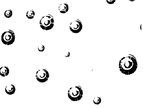 Fig. 2. Image after application of the histogram equalization method.  