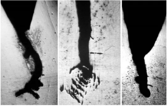 Fig. 6. Specimens subjected to stress corrosion cracking.  