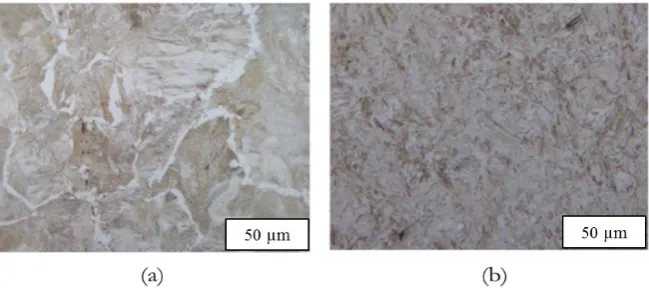 Fig. 6. Observed microstructures of Nam-Phee steel sample without fold-forging process: (a) as-forged and (b) as-quenched