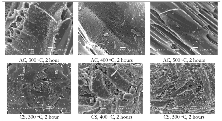 Table 1. Properties of biochar prepared from Acacia wood (AC) and coconut shell (CS) under nine different pyrolysis conditions (Three (3) varied temperatures x three (3) varied time periods of incineration)